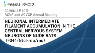 yACVP and ACVCP Annual MeetingzNEURONAL INTERMEDIATE FILAMENT ACCUMULATION IN THE CENTRAL NERVOUS SYSTEM NEURONS OF NUDE RATS (F344/NJcl-rnu/rnu)