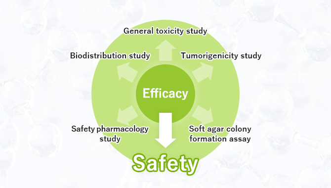 From efficacy evaluation to safety evaluation