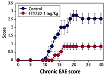 Multiple Sclerosis (Experimental autoimmune encephalomyelitis: EAE)