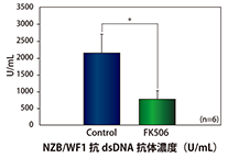 SgGe}g[fXiSLEj